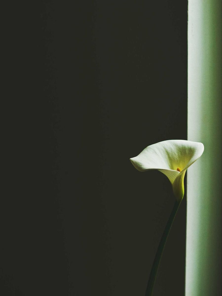 Khu ngồi ngoài trời
